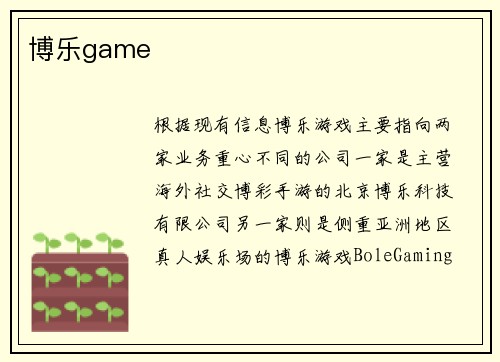 博乐game
